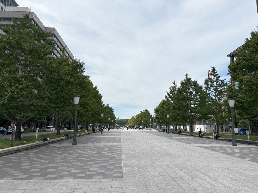 行幸通りのイチョウ並木は有名