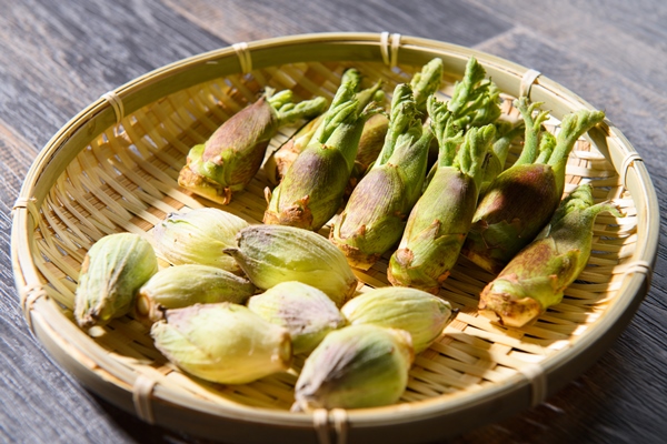 朝どれ山菜が店頭に並ぶ