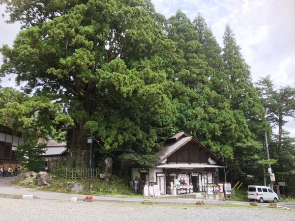 中社の路線バス停でバスを待つ