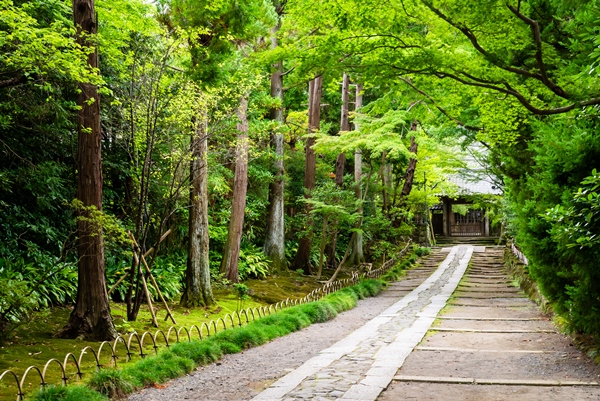 寿福寺の石畳