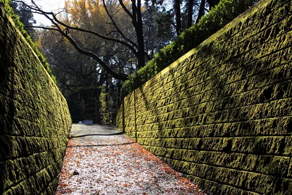 小山城跡