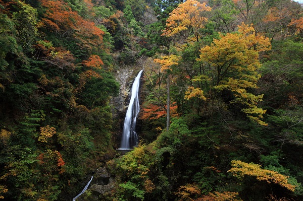 兵庫県「原不動滝」