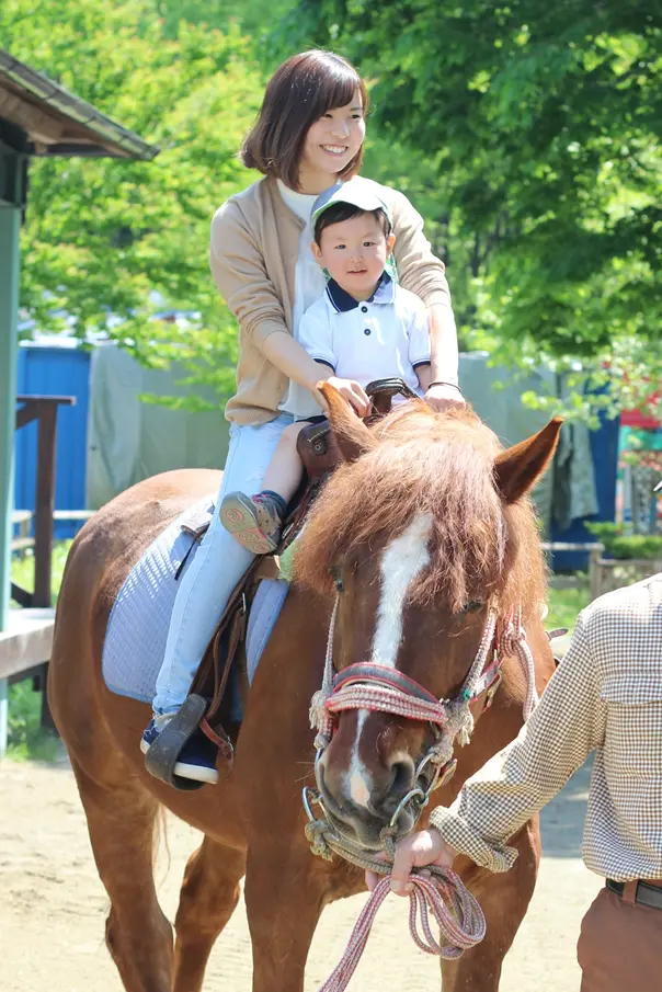 乗馬