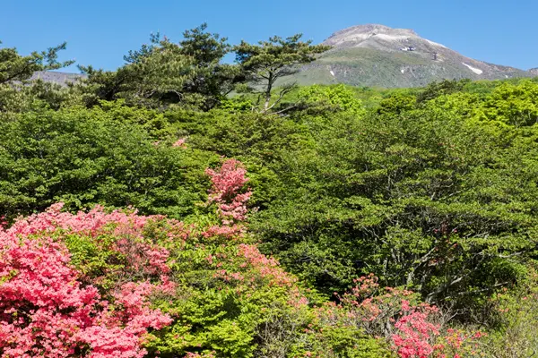 那須高原と茶臼山