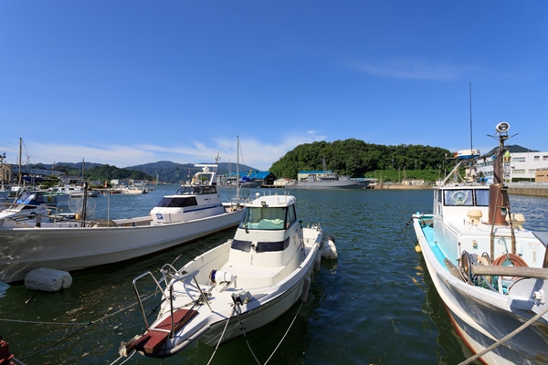 舞鶴湾の風景