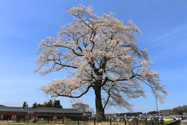 道の駅「安達」