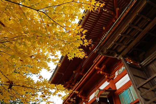 奈良・吉野水分神社