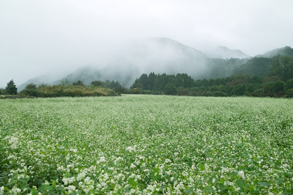 京都へ観光バス旅行！おすすめの休憩スポット「農匠の郷やくの」