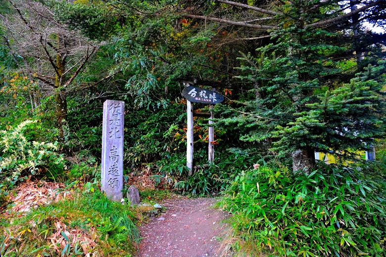 ゼロ磁場・分杭峠