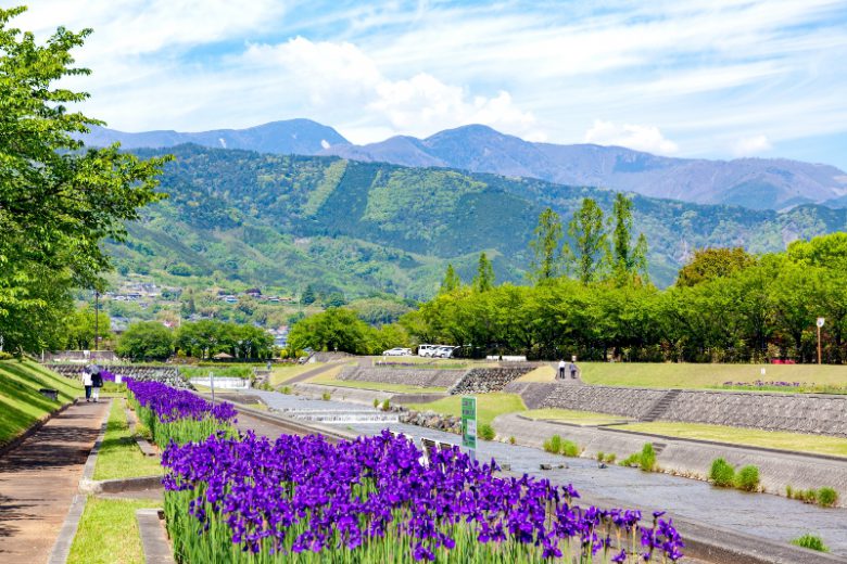 山梨へ観光バス旅行！おすすめの休憩スポット「しらね」