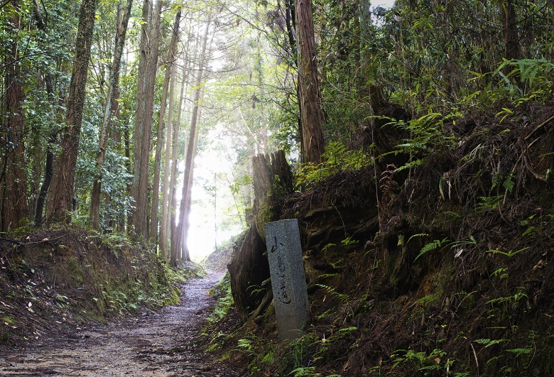 奈良・山の辺の道