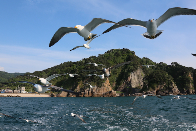 笹川流れ遊覧船