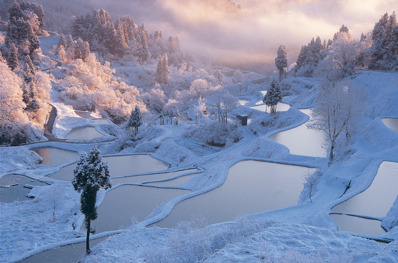 星峠の棚田の雪景色