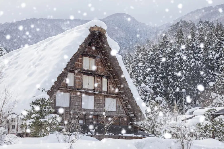 雪の白川郷