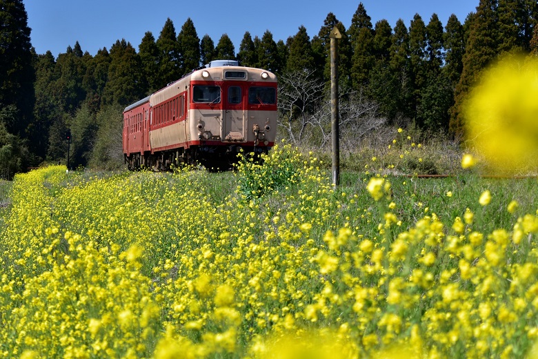 いすみ鉄道