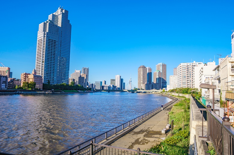 東京観光の目玉として注目される屋形船