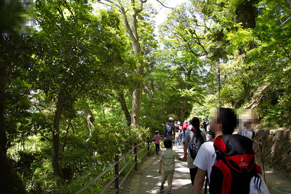 都会のオアシス高尾山