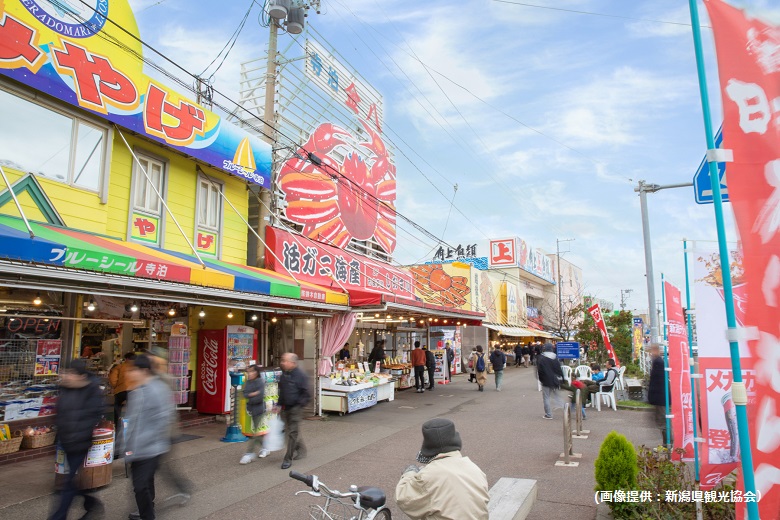 寺泊・魚のアメ横