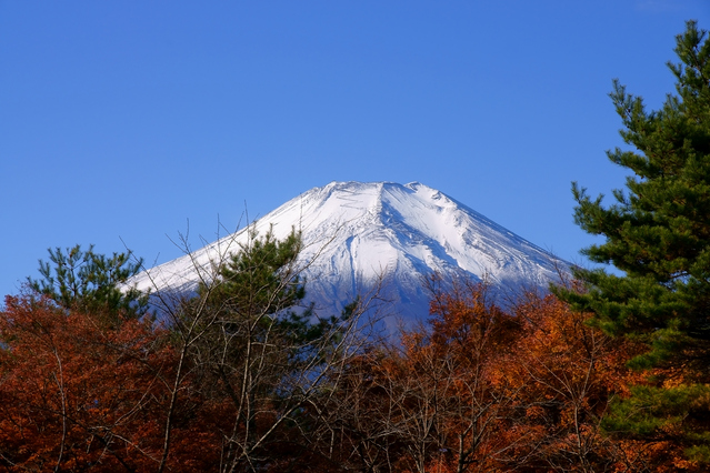 富士山