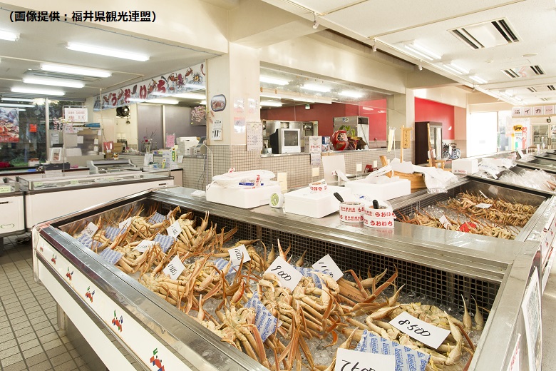 道の駅「越前」