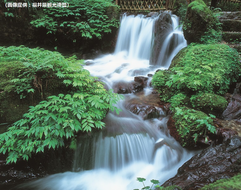瓜割の滝