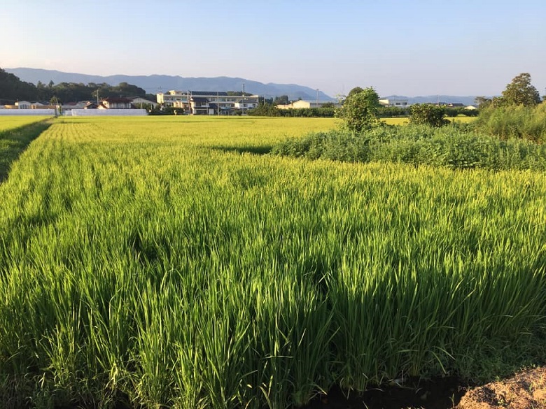 福島で体験した納骨が独特！葬儀や法事の送迎バスで注意したいこと