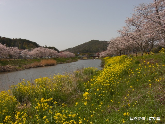 白竜湖