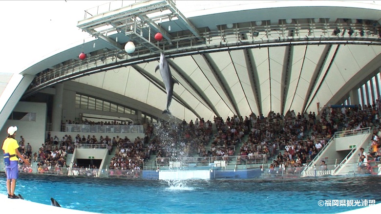 マリンワールド海の中道