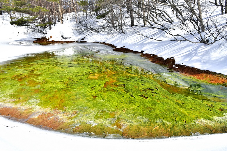 磐梯山噴火口内の未凍結の銅沼