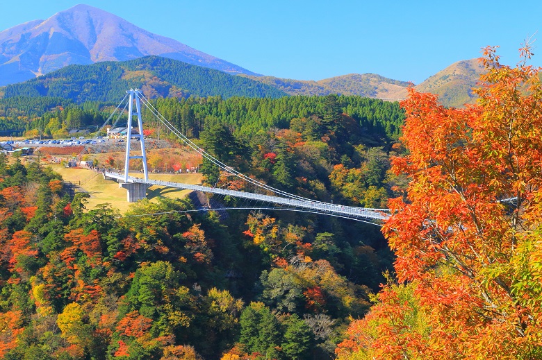 九重夢つり橋