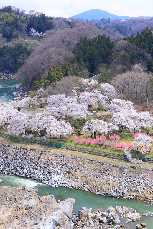 島山公園