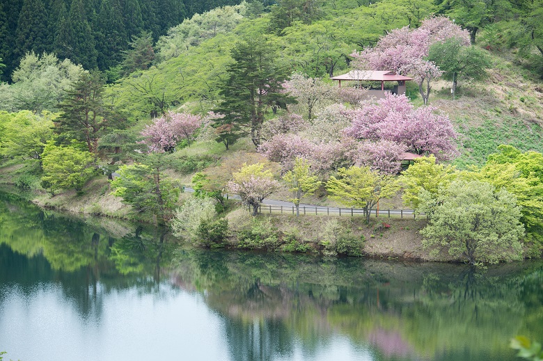 八塩いこいの森