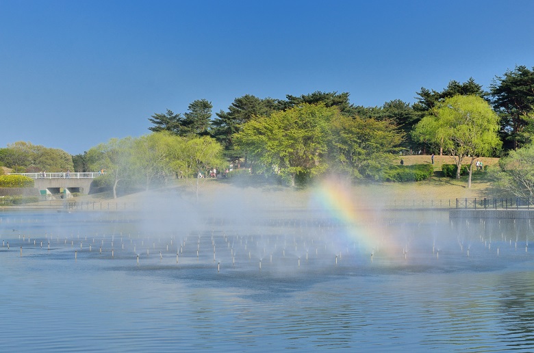 国営ひたち海浜公園