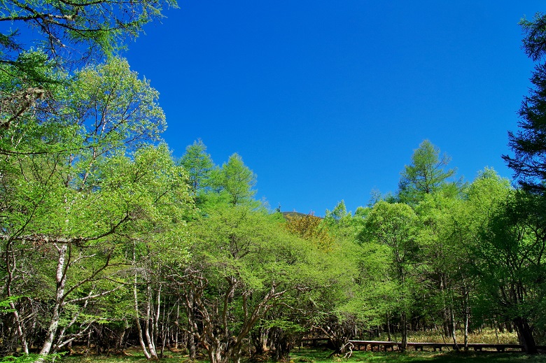 女神湖