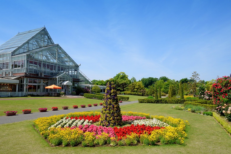 清水公園