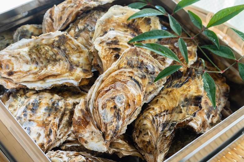 三重から日帰りできるbbq場特集 送迎はぜひ貸切バスで バス観光マガジン 三重から日帰りできるbbq場特集 送迎はぜひ貸切バスで バス観光マガジン