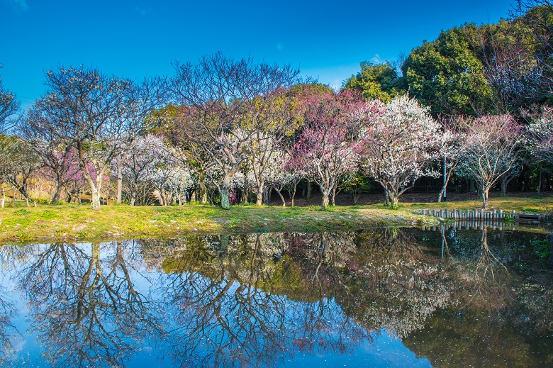 山田池公園