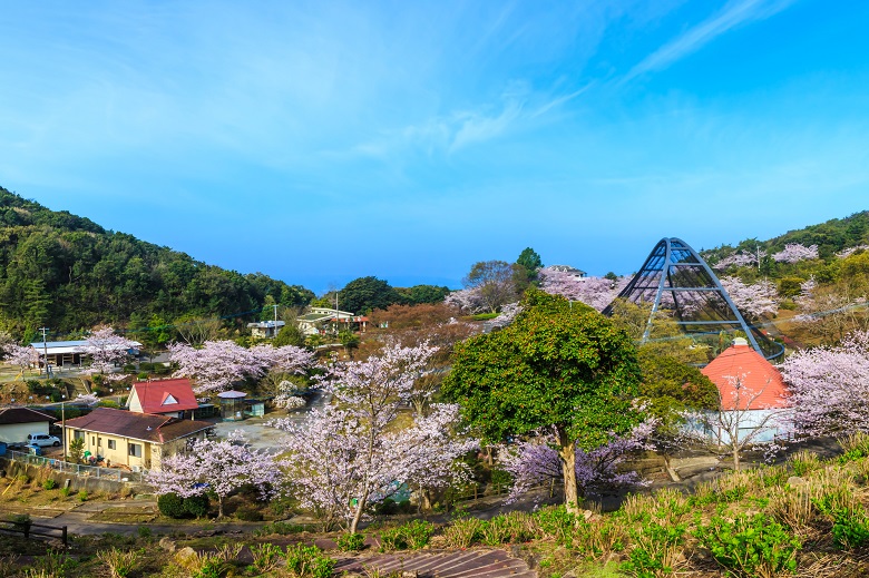 大崎自然公園