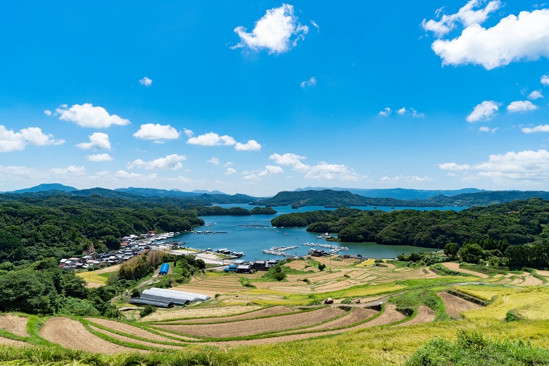 大浦の棚田