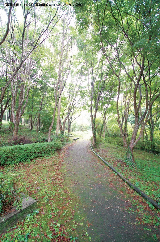 甫喜ヶ峰森林公園