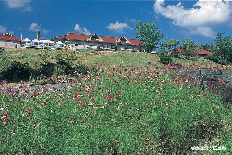 もみの木森林公園