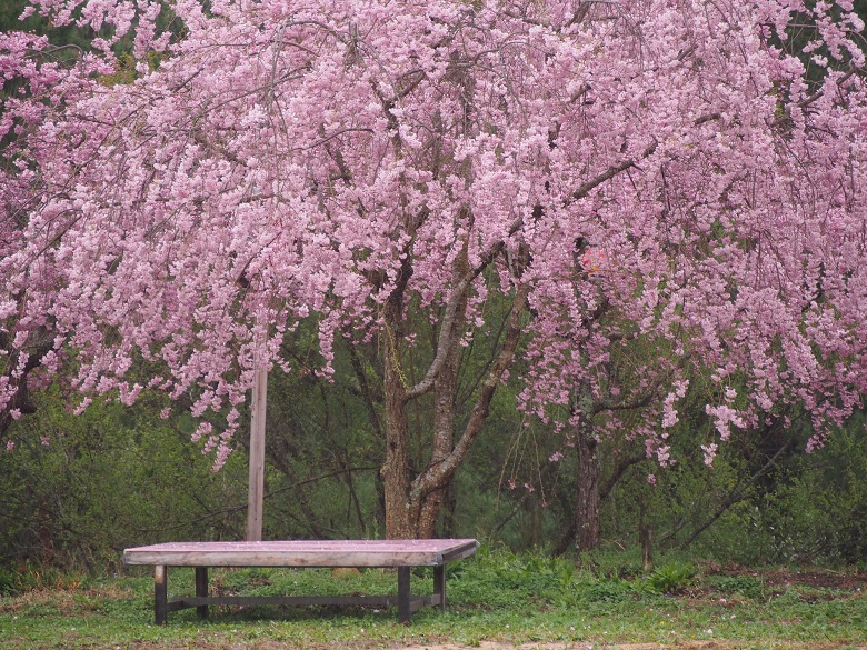 たけべの森公園