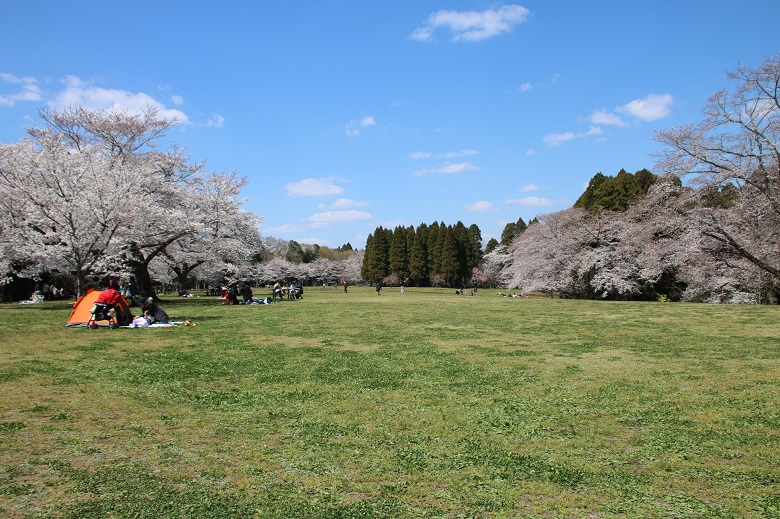 千葉市泉自然公園