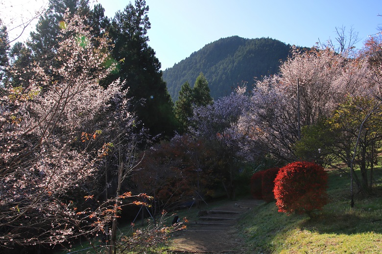 城峯公園