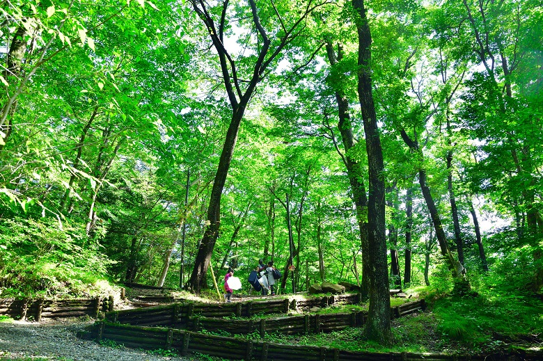 県民の森キャンプ場