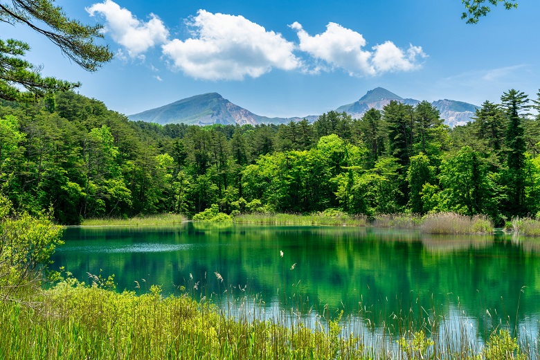 五色沼自然探勝路の新緑風景　るり沼と磐梯山