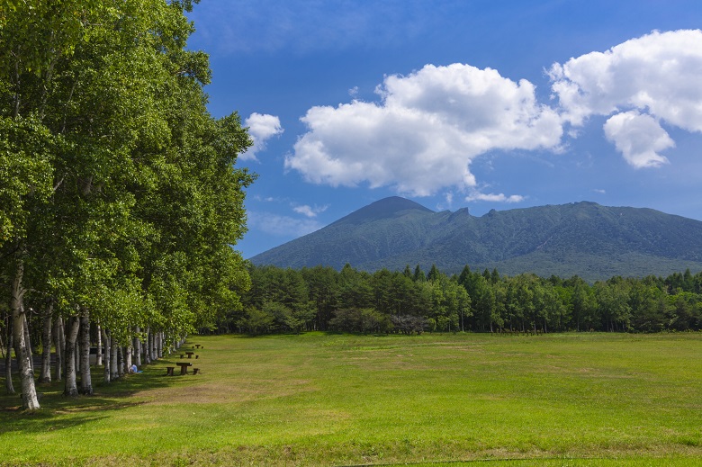 岩手県県民の森