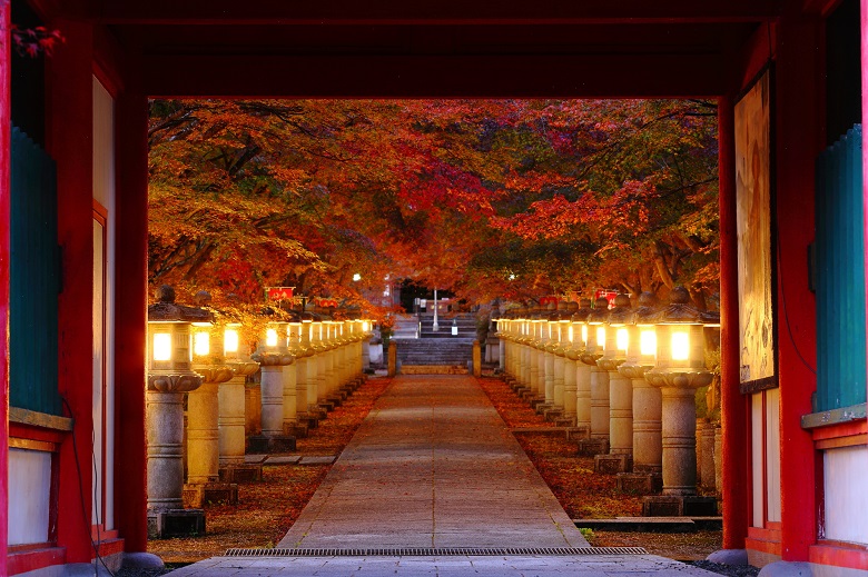 紅葉の名所・高山寺