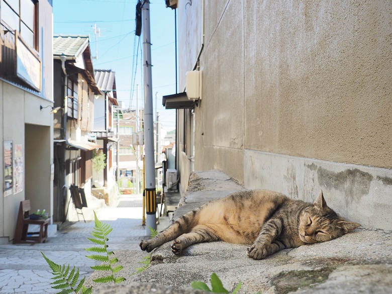 尾道の風景