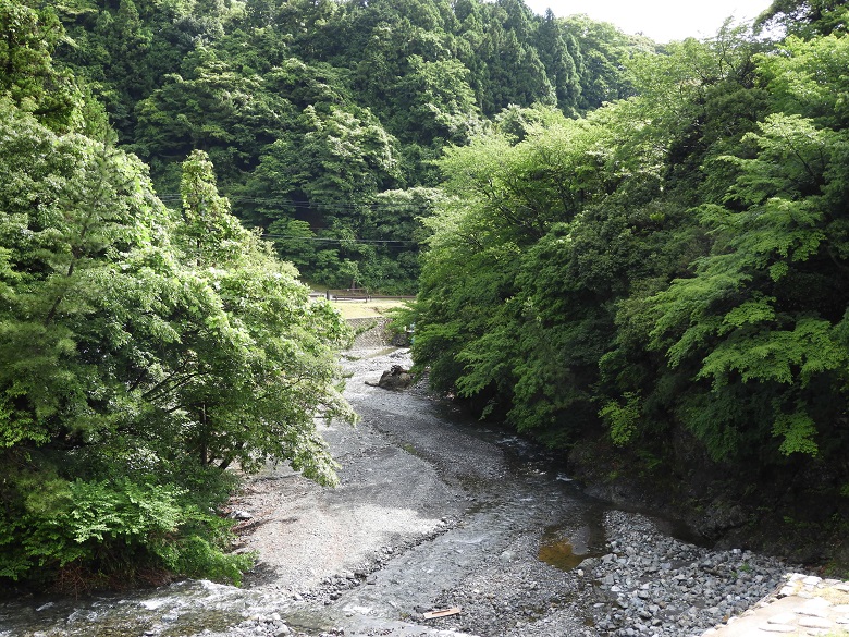 青川峡